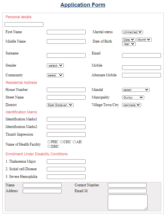 Skillpundit-HTML-Application Form