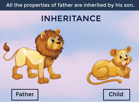 Skillpundit-Java-Inheritance Real Life Example of Inheritance